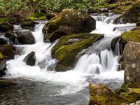 Cascades along Middle Prong Trail