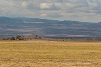 Amboseli National Park-159