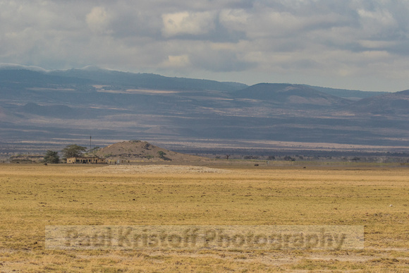 Amboseli National Park-159