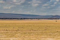 Amboseli National Park-155