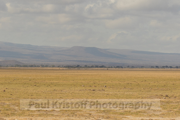 Amboseli National Park-156