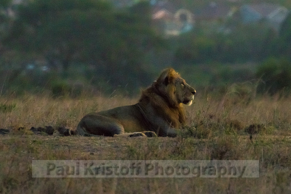 Nairobi National Park-337