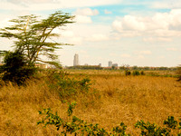 Nairobi National Park-31