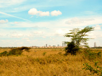 Nairobi National Park-33