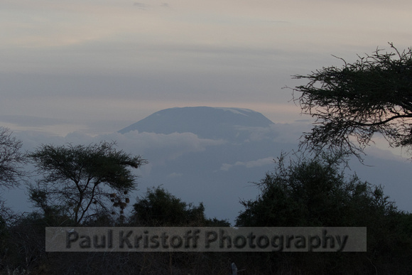 Porini Amboseli Camp-15