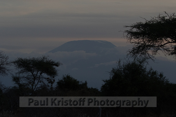 Porini Amboseli Camp-19