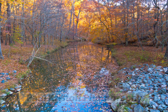 Fall in Umpstead State Park, Raleigh, North Carolina