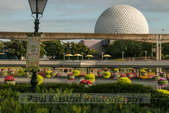 DisneyWorld-1419