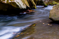 Bird Rock Falls