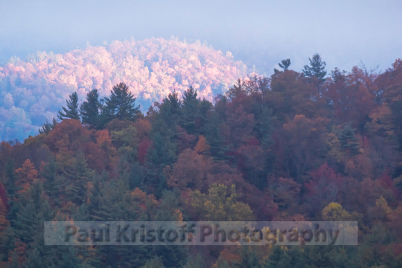 Foggy morning at Cataloochee