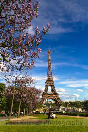 Eiffel Tower with blooming tree