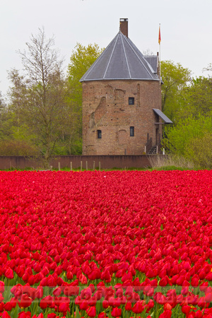 Dever House, Lisse