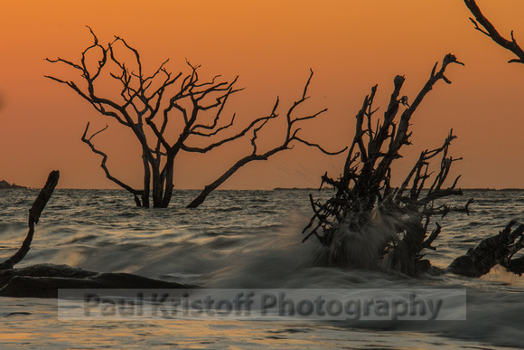 HiltonHead-2006