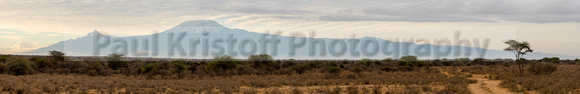 Amboseli National Park-1893