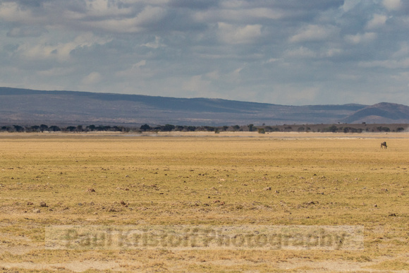 Amboseli National Park-155