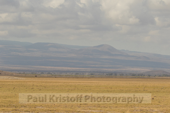 Amboseli National Park-158
