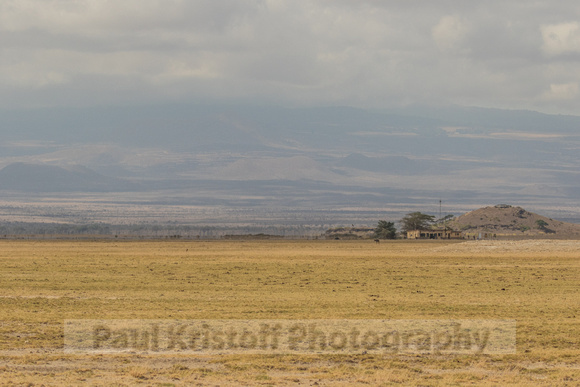 Amboseli National Park-160