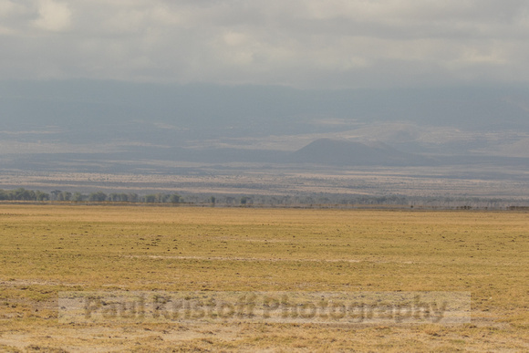 Amboseli National Park-161