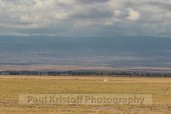 Amboseli National Park-162