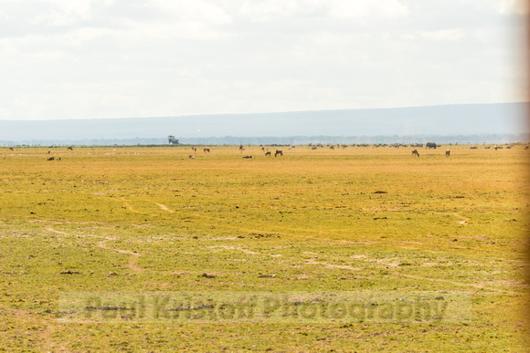 Amboseli National Park-235