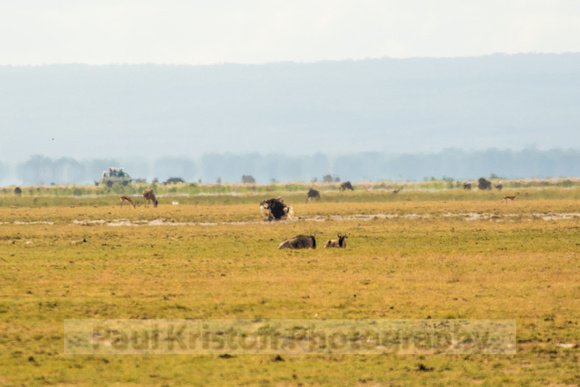 Amboseli National Park-273