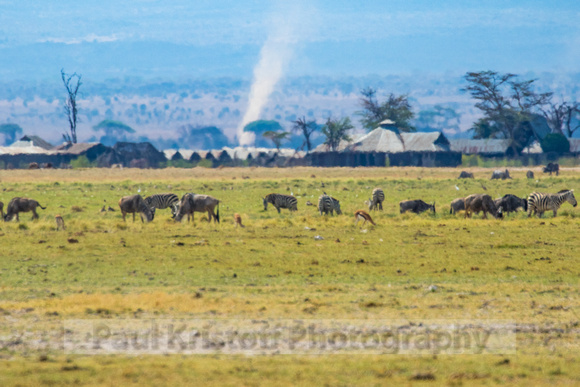 Amboseli National Park-282