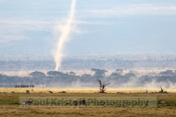 Amboseli National Park-589