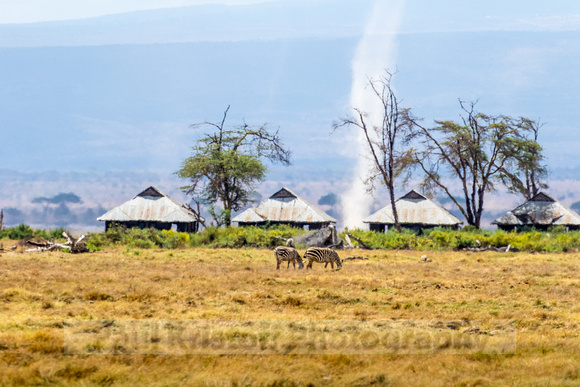 Amboseli National Park-613