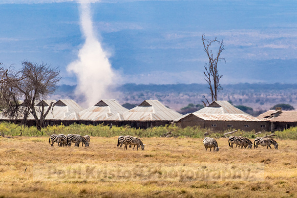 Amboseli National Park-619