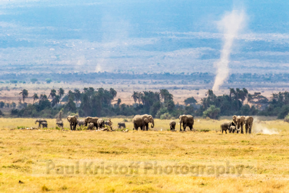Amboseli National Park-654