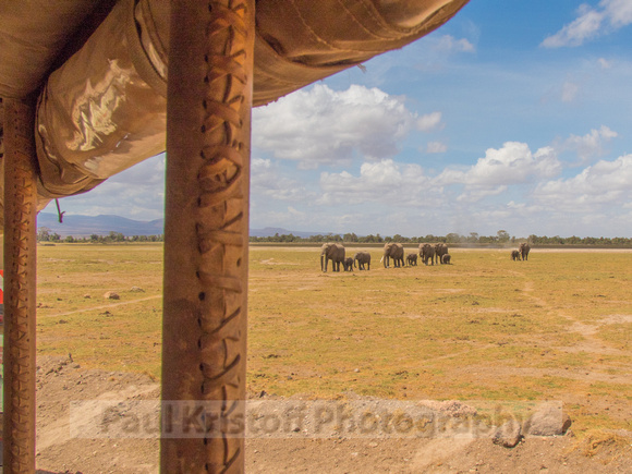 Amboseli National Park-715