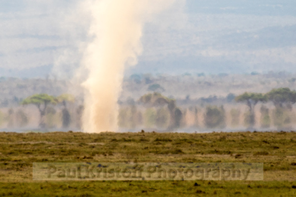 Amboseli National Park-745
