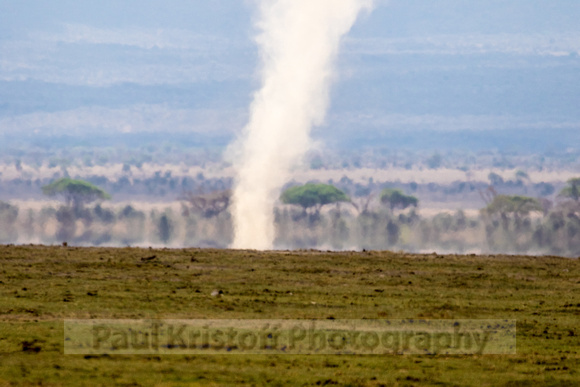 Amboseli National Park-754