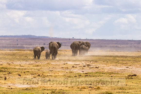 Amboseli National Park-760