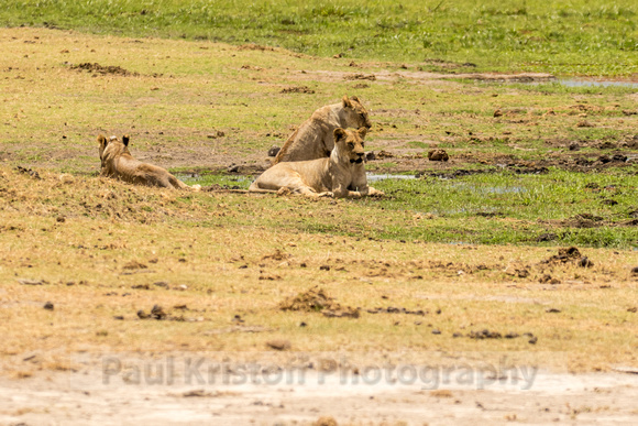 Amboseli National Park-1063