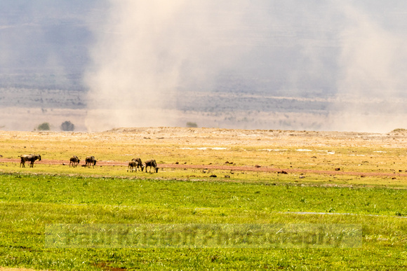 Amboseli National Park-1158