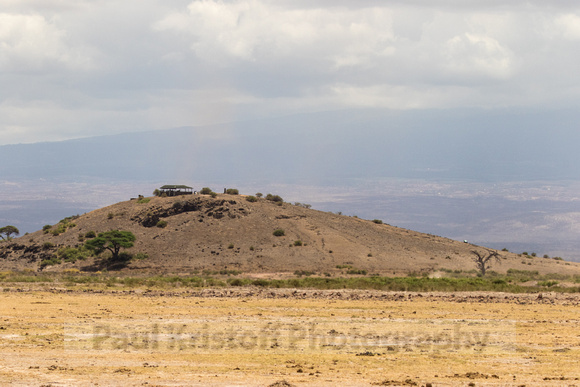 Amboseli National Park-1220