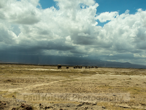 Amboseli National Park-1241