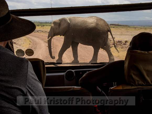 Amboseli National Park-1275
