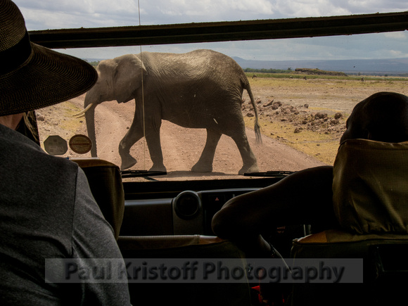Amboseli National Park-1276