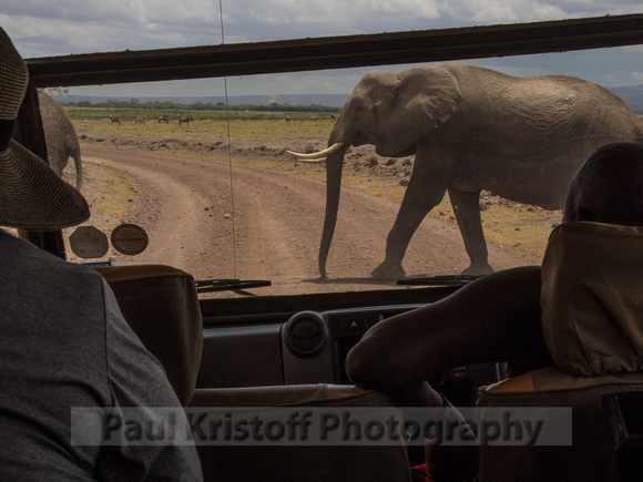 Amboseli National Park-1277