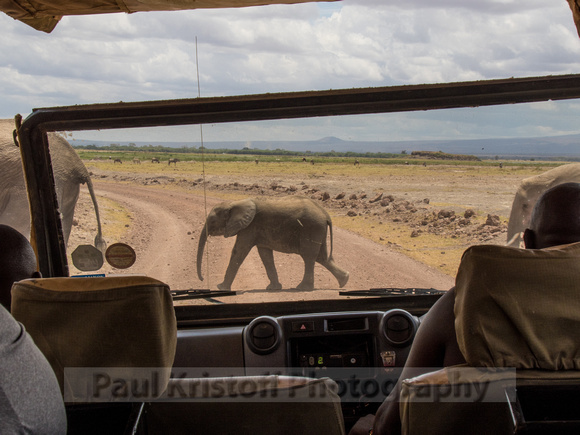 Amboseli National Park-1280