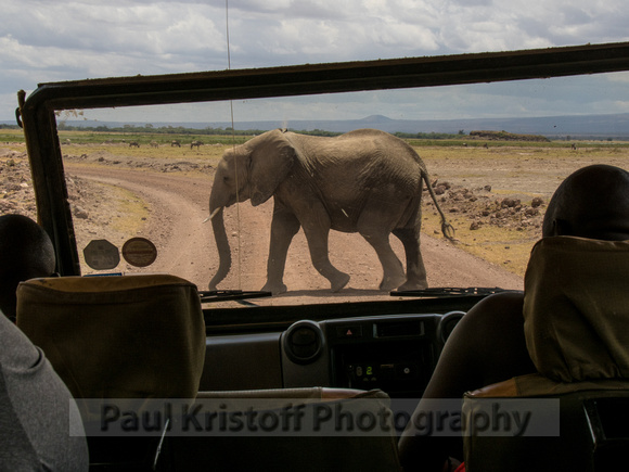 Amboseli National Park-1284