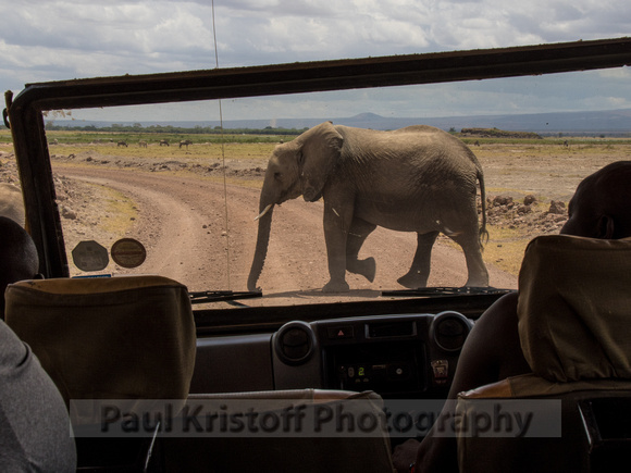 Amboseli National Park-1283