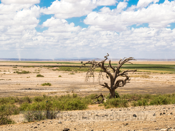 Amboseli National Park-1420