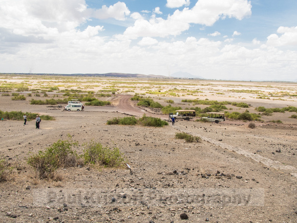 Amboseli National Park-1425
