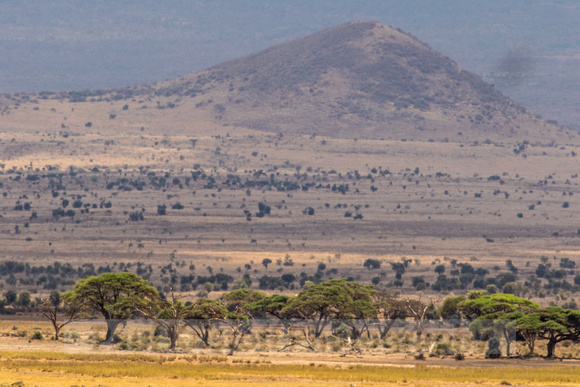 Amboseli National Park-1429