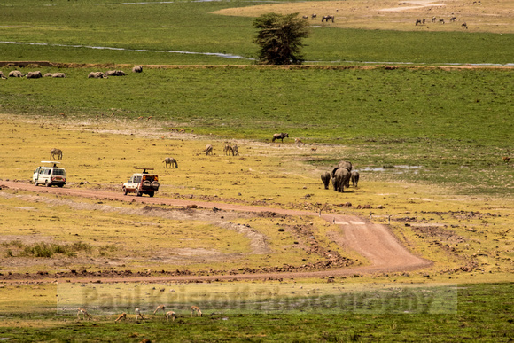 Amboseli National Park-1466