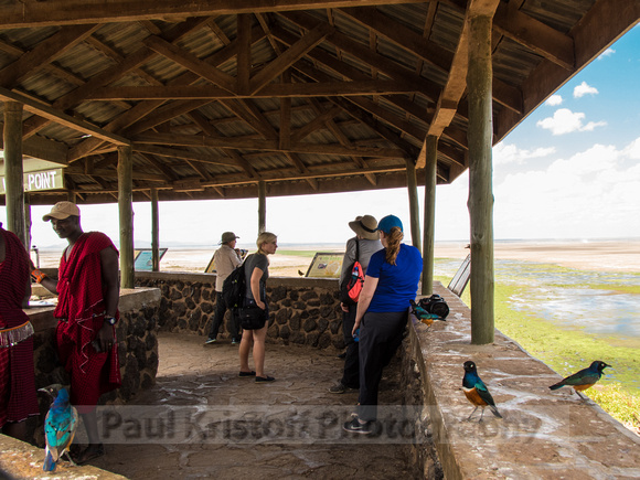 Amboseli National Park-1484