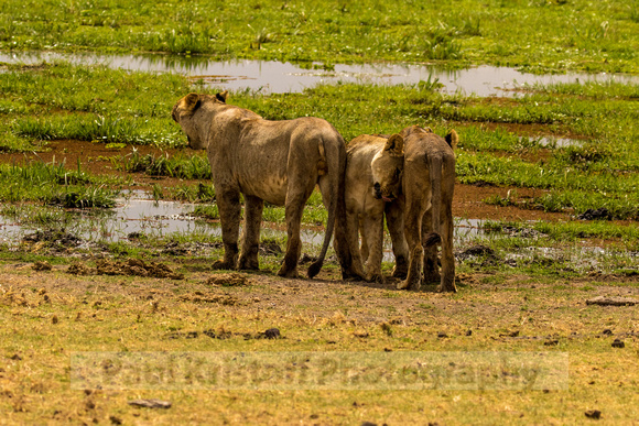 Amboseli National Park-1760